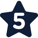 5 star google